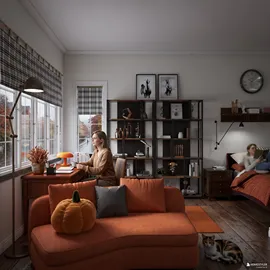 Image 5