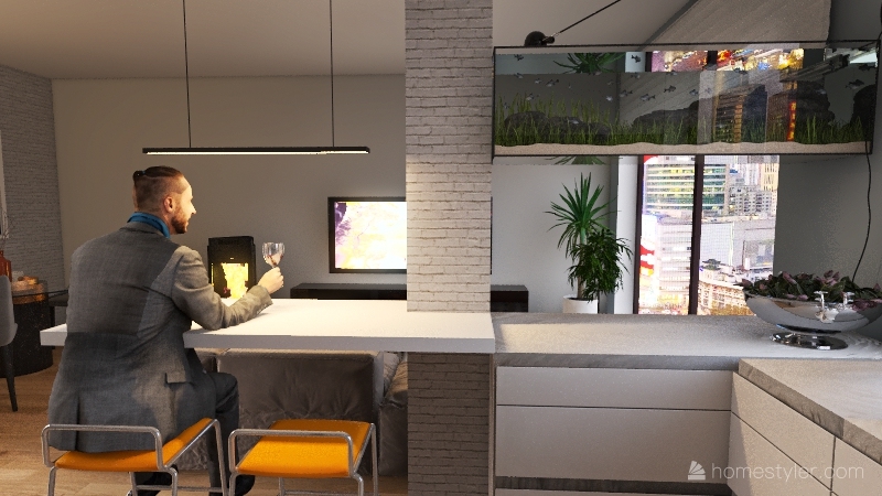 K HOUSE 3d design renderings