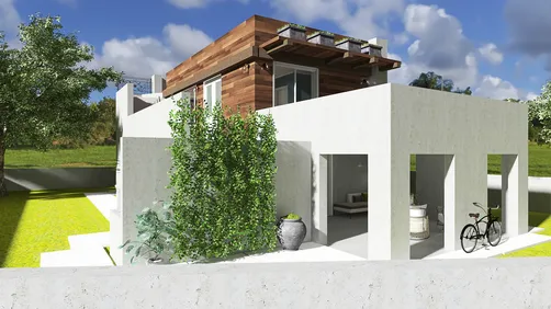 Modern House in the Suburb