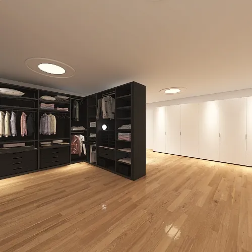 Master closet 3d design renderings