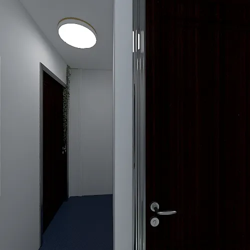 Level House 3d design renderings