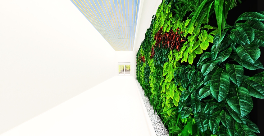 Modern White Entrance & Hallway 3d design renderings