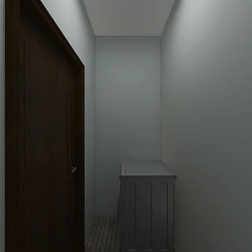 Closet 3d design renderings