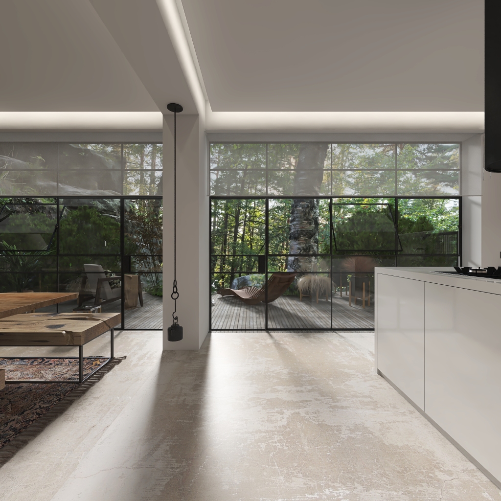 Modern Kitchen & Hallway 3d design renderings