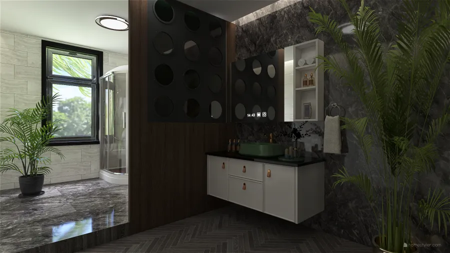 Contemporary ColorScemeOther Grey Bathroom 3d design renderings