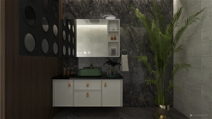 Contemporary ColorScemeOther Grey Bathroom 3d design renderings