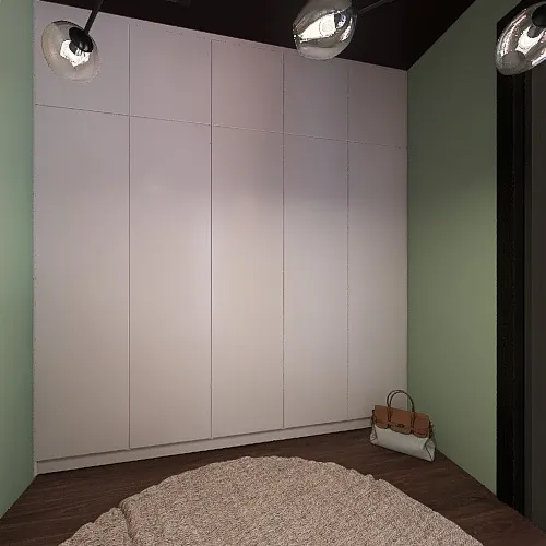 Second Bedroom Closet 3d design renderings