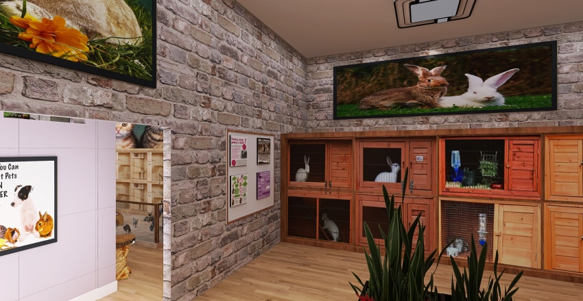 Modern Local Pet Store 3d design renderings