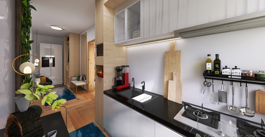 Ap.17. Kitchen & Hallway 3d design renderings