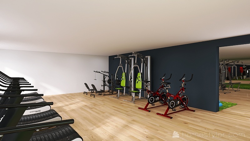 Sa'raia's Gym 3d design renderings