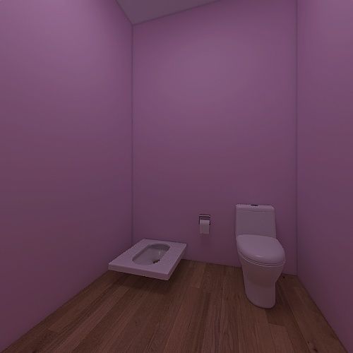 Toilet(Women) 3d design renderings