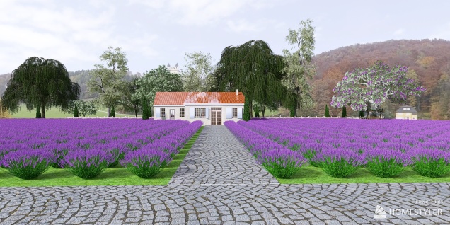 Provence Dream