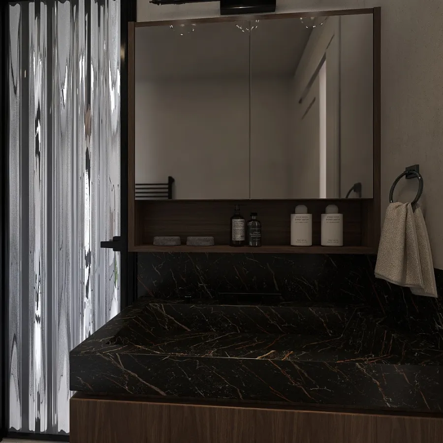 Bathroom Dry Area compartido 3d design renderings