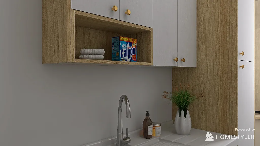 LaundryRoom 3d design renderings