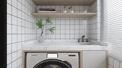 modern laundry room designed with a washing machine, featuring a minimalist style and maximizing space efficiency with ample shelving, utilizing Homestyler's real-time 3D rendering.