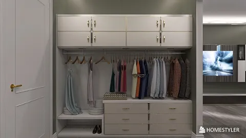 clothes storage solution with neatly organized garments and accessories showcasing an elegant closet design in a modern style, emphasizing smart space optimization features from Homestyler.