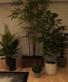 houseplants arranged in a modern interior design style, enhancing the living space value through greenery and natural aesthetics using Homestyler's real-time 3D rendering feature.