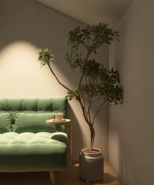 green sofa with small coffee table and potted tree in a cozy corner design showcasing modern interior decor using Homestyler's real-time 3D rendering feature